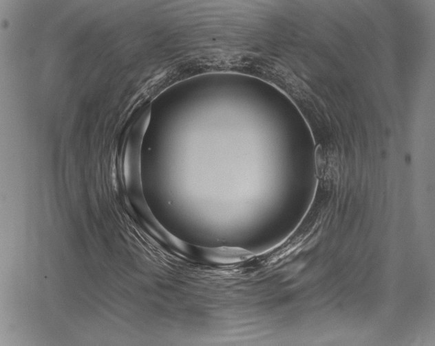 X0000064061202200601271243