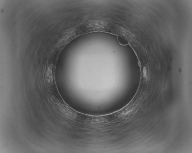 X0000064061203200601271243
