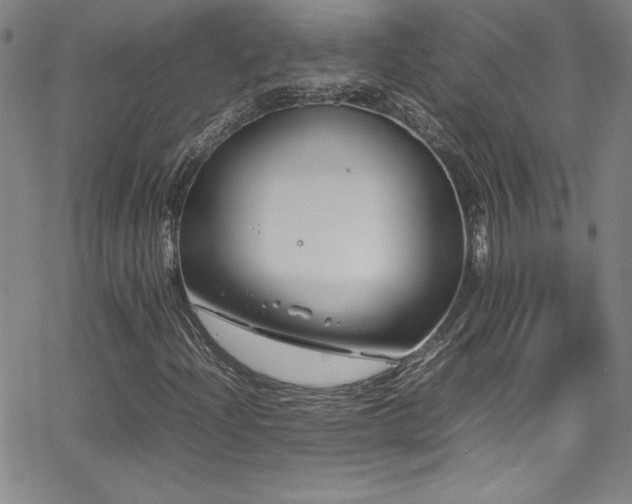 X0000064061204200601271243