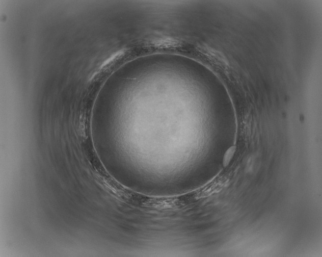 X0000064061205200601271243