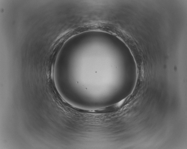 X0000064061206200601271243