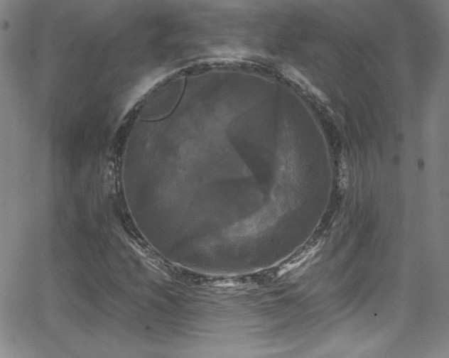 X0000064061208200601271244