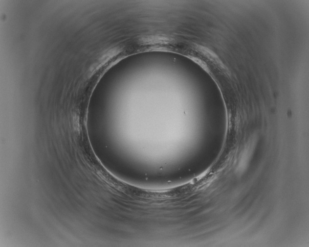 X0000064061209200601271244