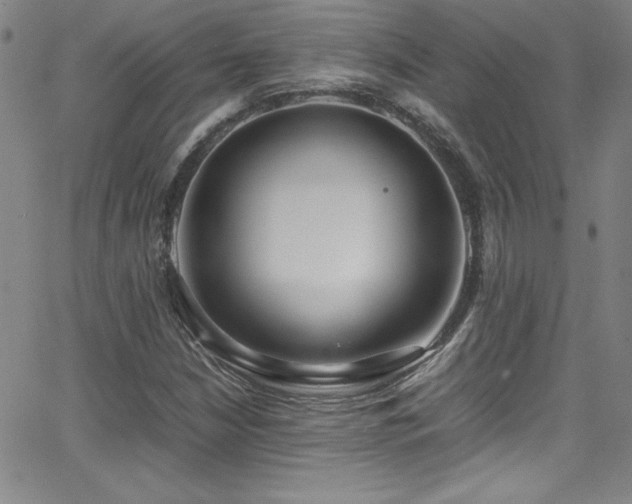 X0000064061210200601271244