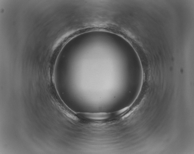 X0000064061214200601271244