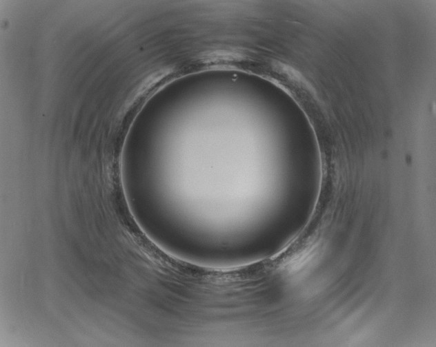 X0000064061217200601271244