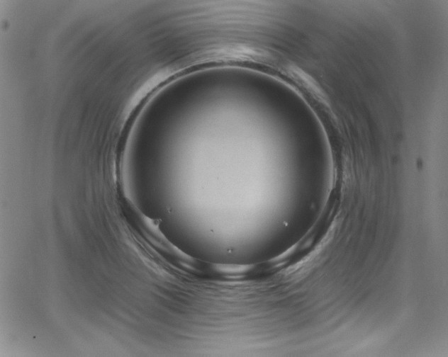 X0000064061226200601271244