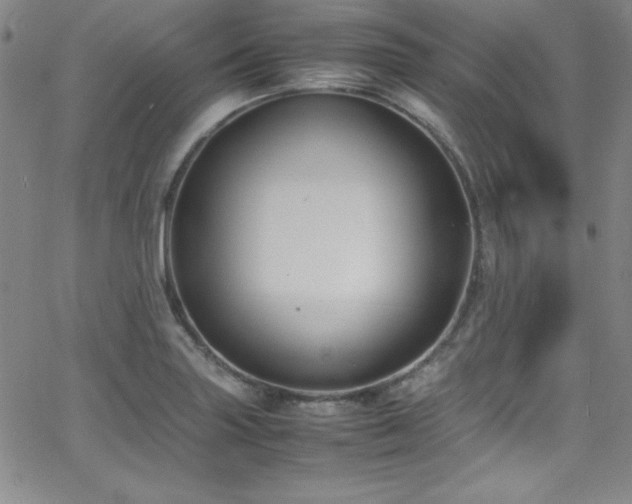 X0000064061227200601271244