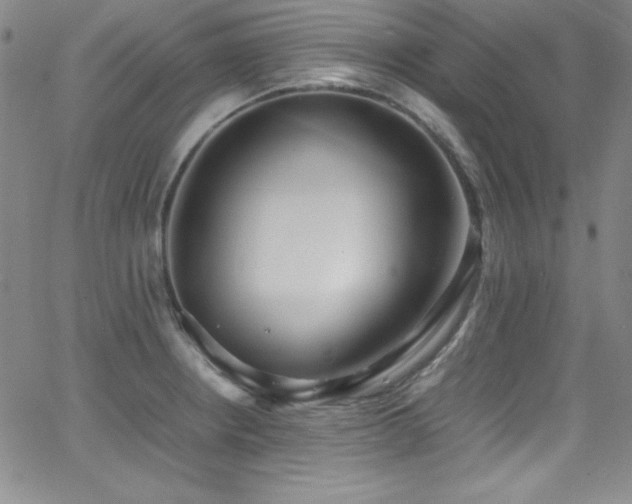 X0000064061234200601271244
