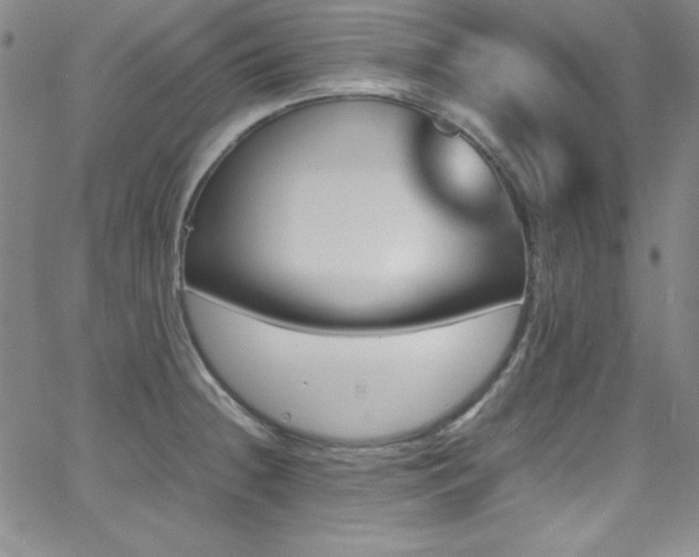X0000064061236200601271244