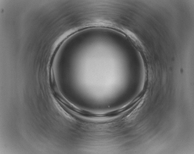 X0000064061238200601271244