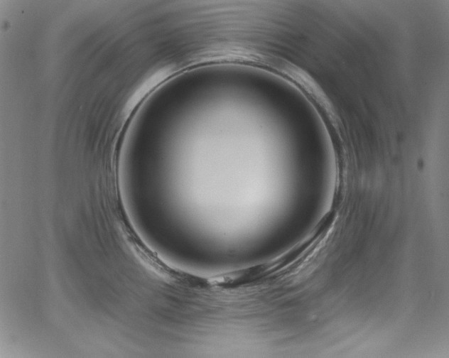 X0000064061242200601271244