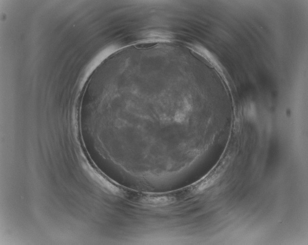 X0000064061243200601271244