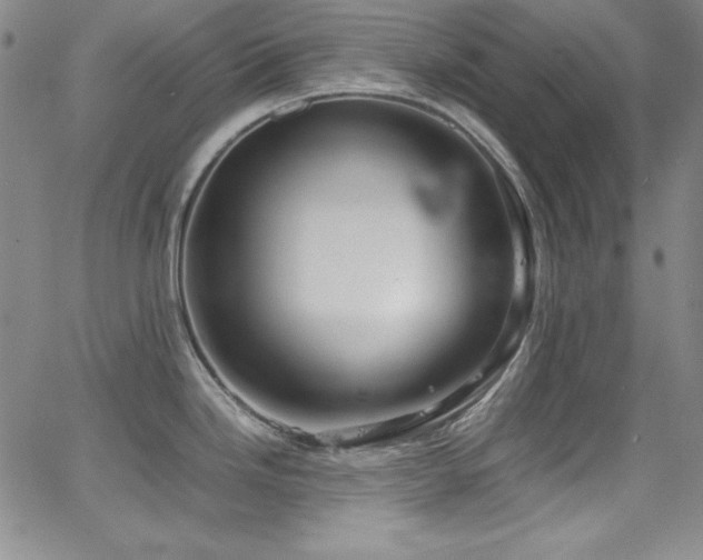 X0000064061246200601271244