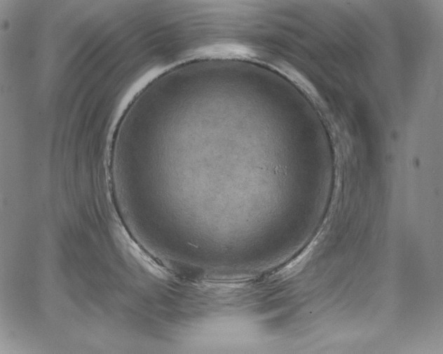 X0000064061248200601271244