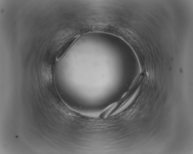 X0000064061252200601271243