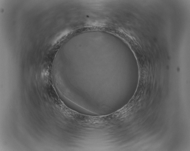 X0000064061254200601271243