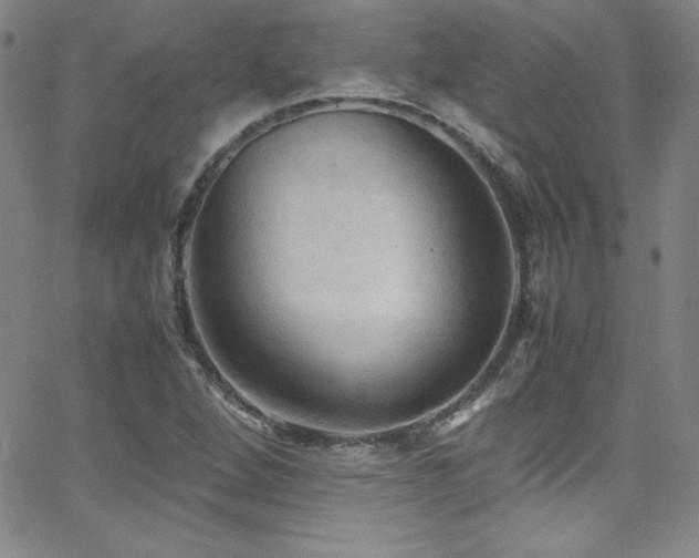 X0000064061264200601271243