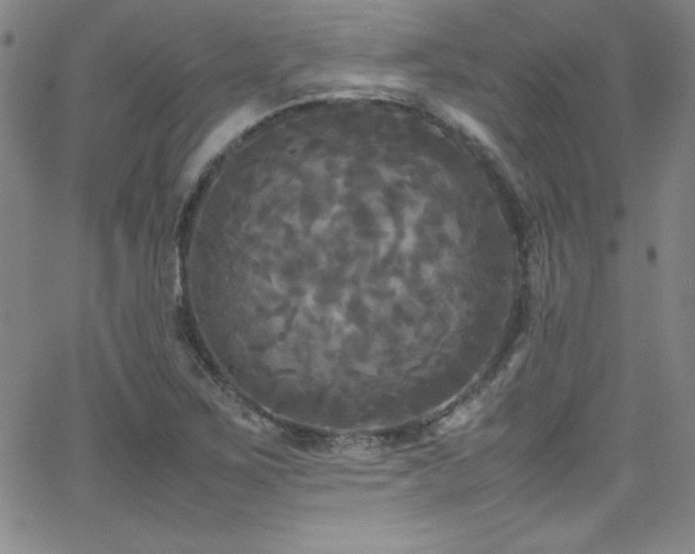 X0000064061267200601271243