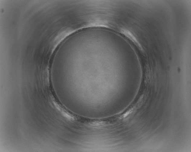X0000064061268200601271243