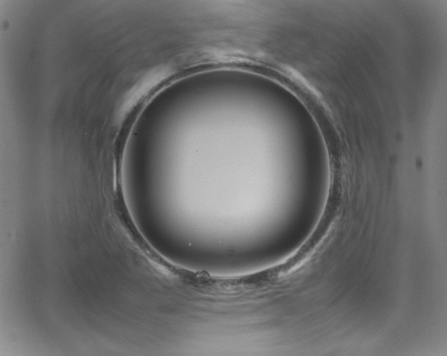 X0000064061269200601271243