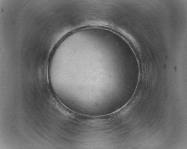 X0000064061272200601271243