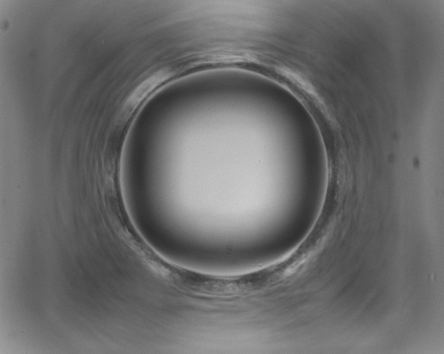 X0000064061273200601271243