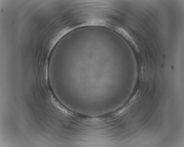 X0000064061276200601271243
