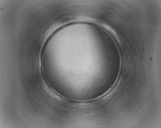 X0000064061280200601271243
