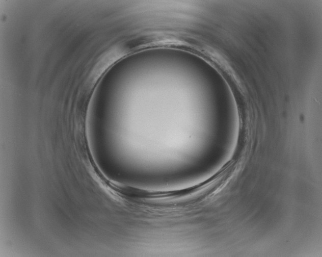 X0000064061281200601271243