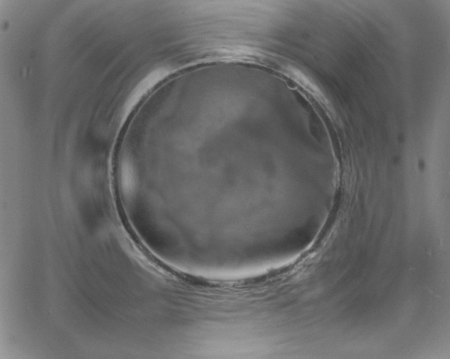 X0000064061283200601271243