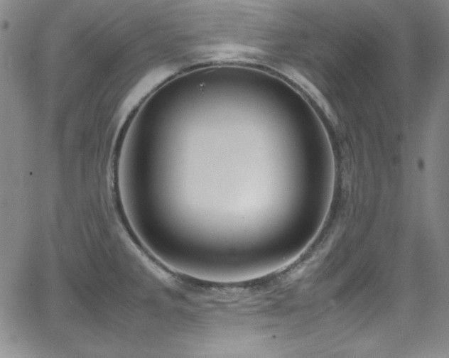 X0000064061285200601271243