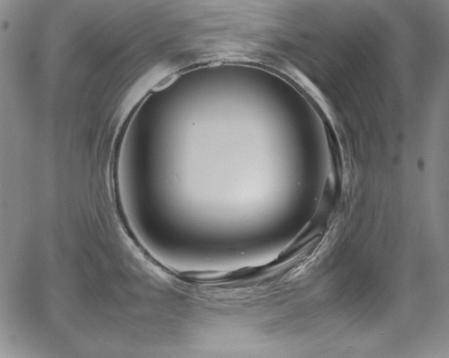 X0000064061293200601271243