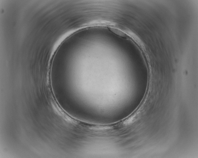 X0000064061296200601271243