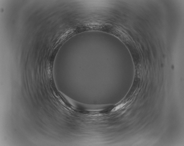 X0000064061298200601271242