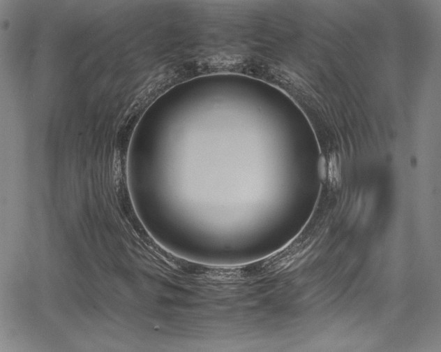 X0000064061299200601271242