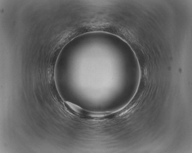 X0000064061300200601271242