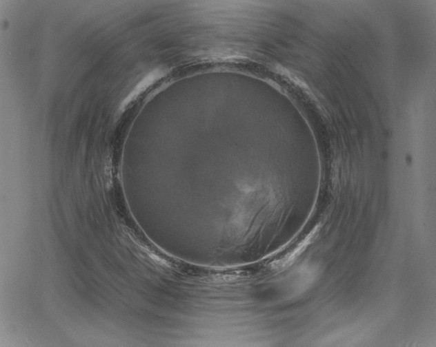 X0000064061306200601271242