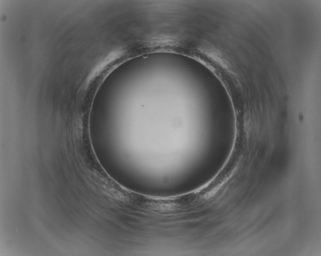 X0000064061309200601271242