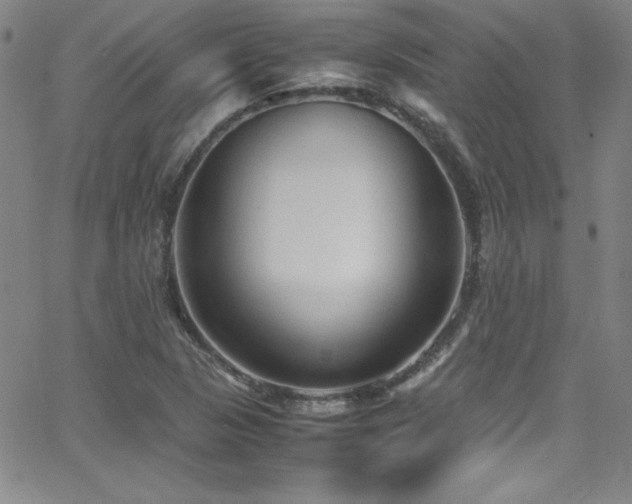 X0000064061313200601271242