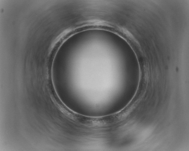 X0000064061318200601271242