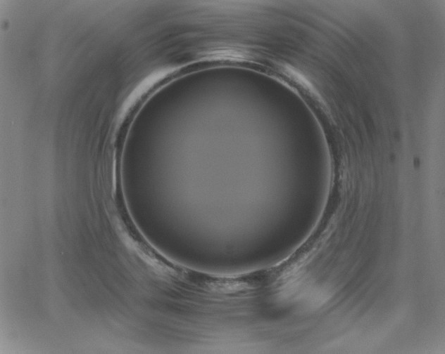 X0000064061323200601271242