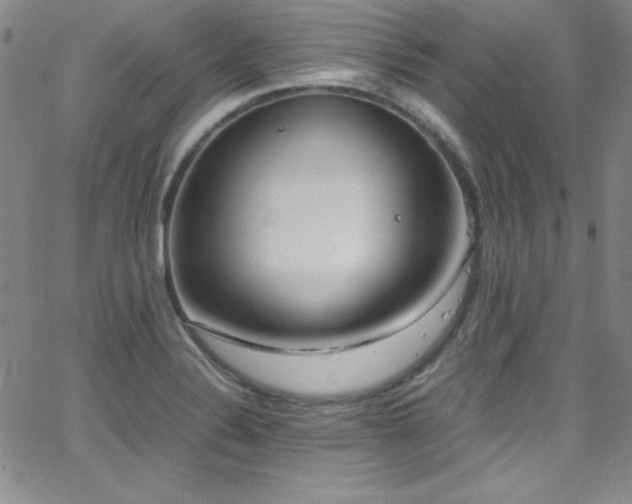 X0000064061324200601271242