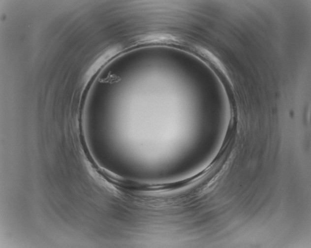 X0000064061330200601271242