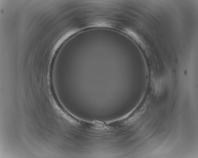 X0000064061331200601271242