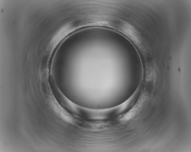 X0000064061332200601271242