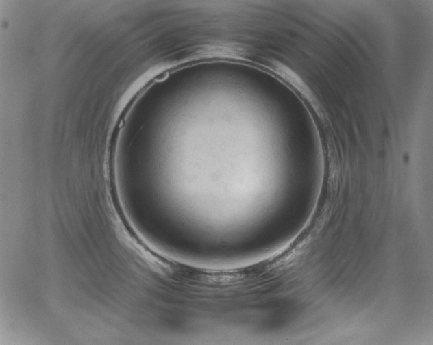 X0000064061339200601271243