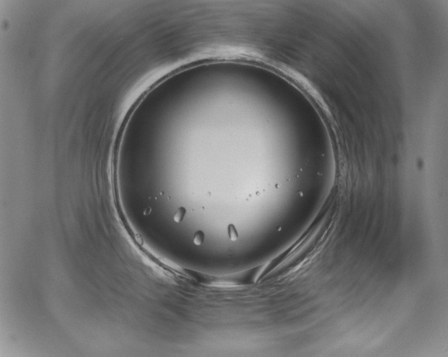 X0000064061343200601271243