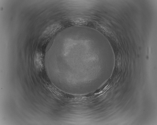 X0000064061346200601271242