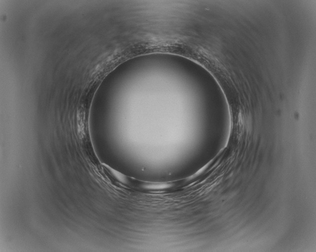 X0000064061348200601271242
